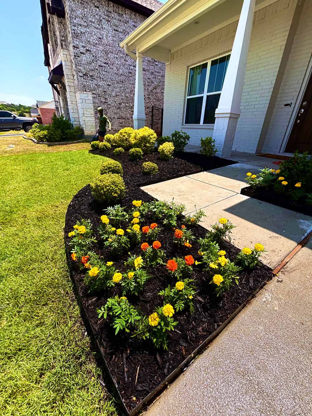 Flowerbeds image