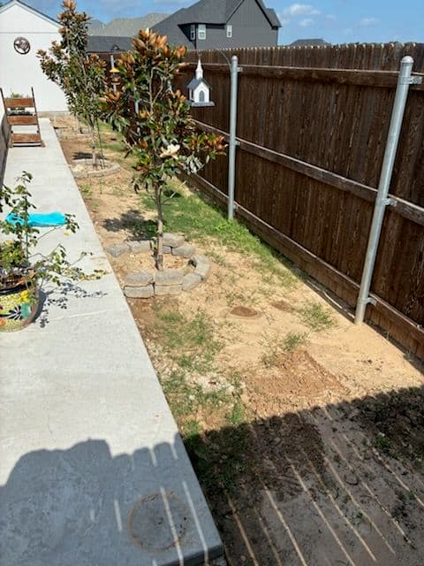 Sod and Tree Installation Elevates Backyard Experience