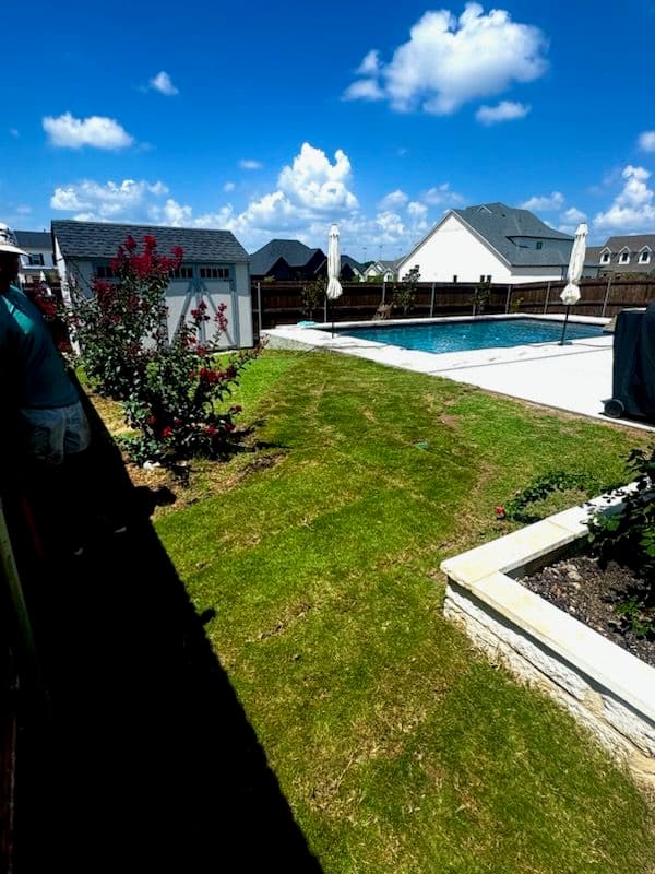 Sod and Tree Installation Elevates Backyard Experience