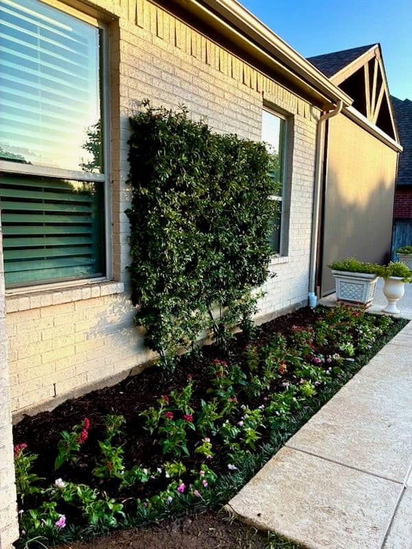 Bright and Beautiful Flowerbed Makeover