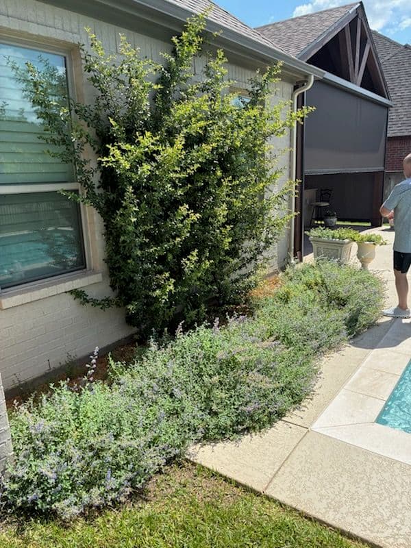 Bright and Beautiful Flowerbed Makeover