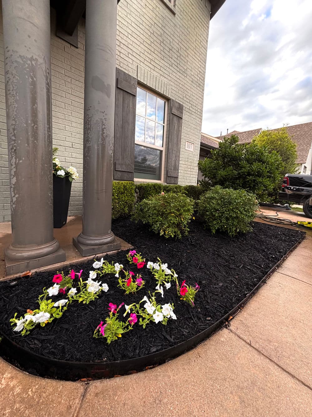 Flower bed with white and pink petunias framed by dark mulch near elegant house entrance.