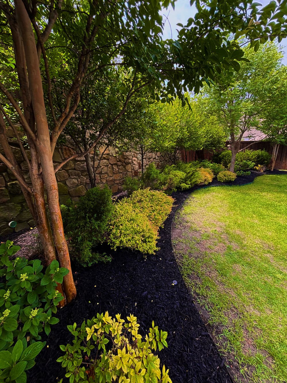 Lush garden landscape with green shrubs, trees, and black mulch along a curved path.