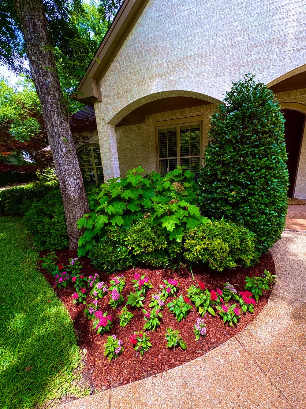 Lush garden with pink flowers, shrubs, and greenery near a light-colored house entrance.