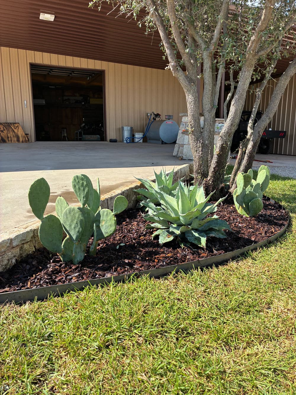 Desert landscaping with prickly pear and agave plants near a garage entrance.