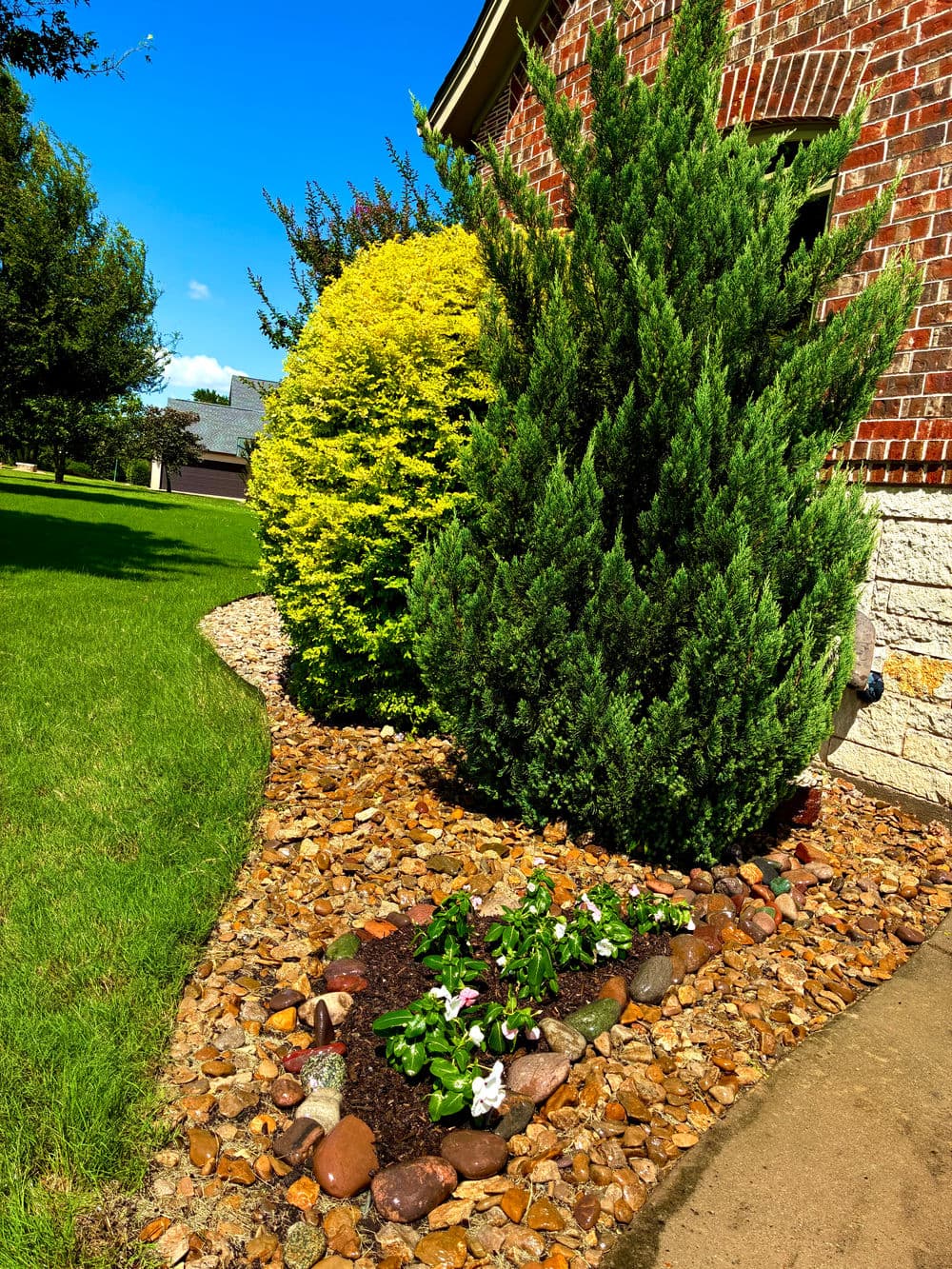Well-maintained garden featuring colorful flowers, shrubs, and decorative stone landscaping.