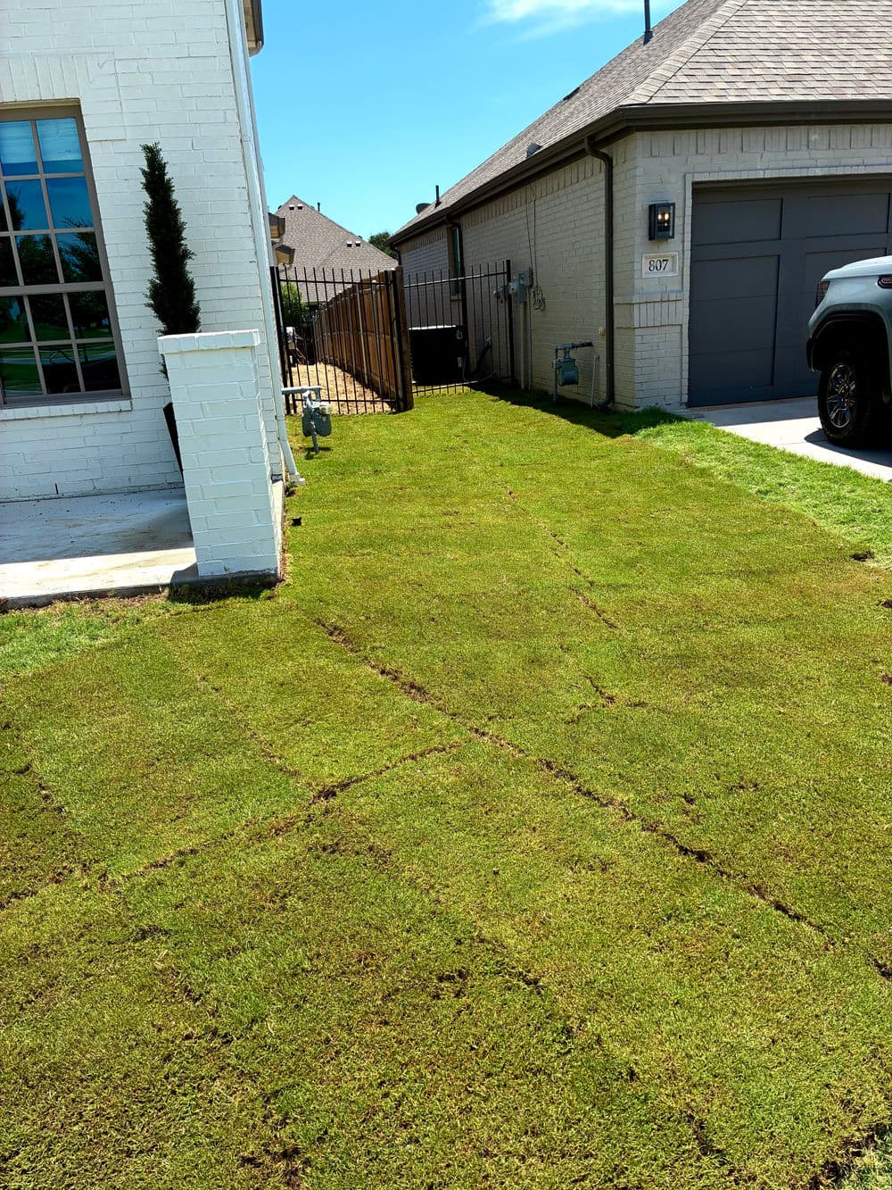 Freshly laid sod on a sunny residential lawn next to a house and driveway.