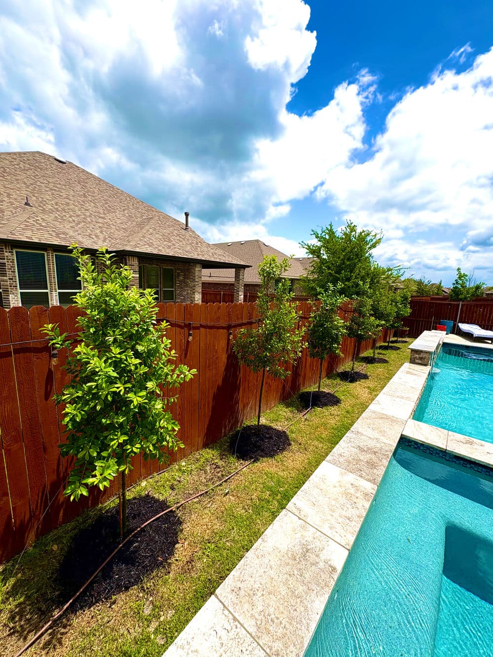 Lush backyard with trees lining a wooden fence beside a sparkling swimming pool under a blue sky.