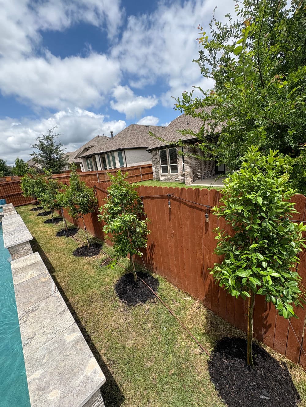 Lush greenery along a wooden fence with a pool, under a bright blue sky with clouds.