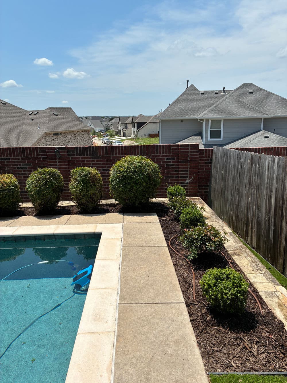 Backyard with swimming pool, landscaped garden, and neighboring houses under a clear blue sky.