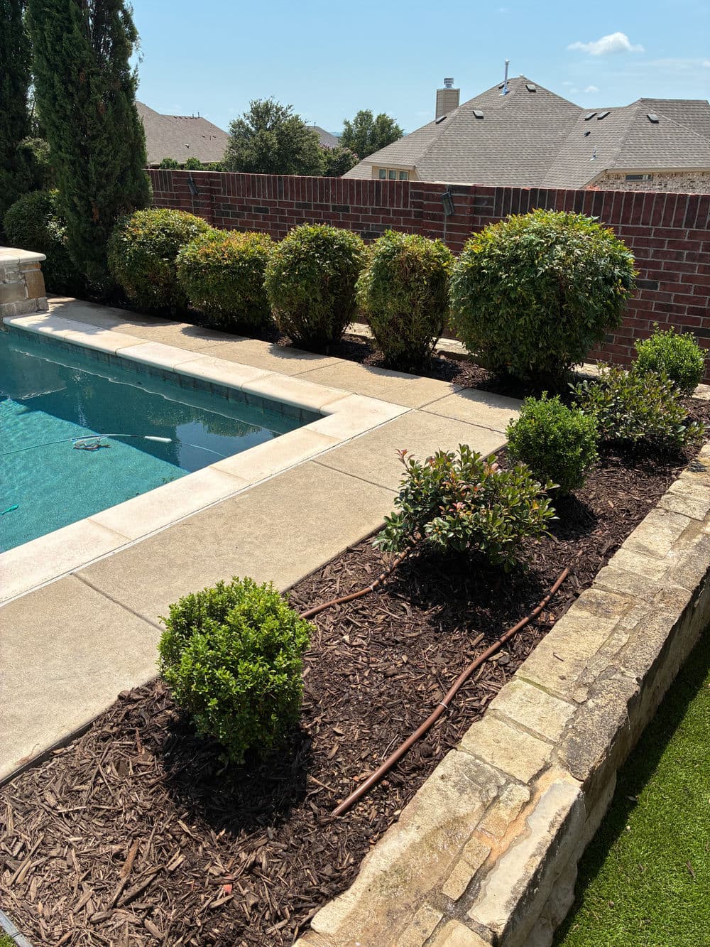 Lush garden with rounded bushes lining a poolside patio surrounded by brick wall.