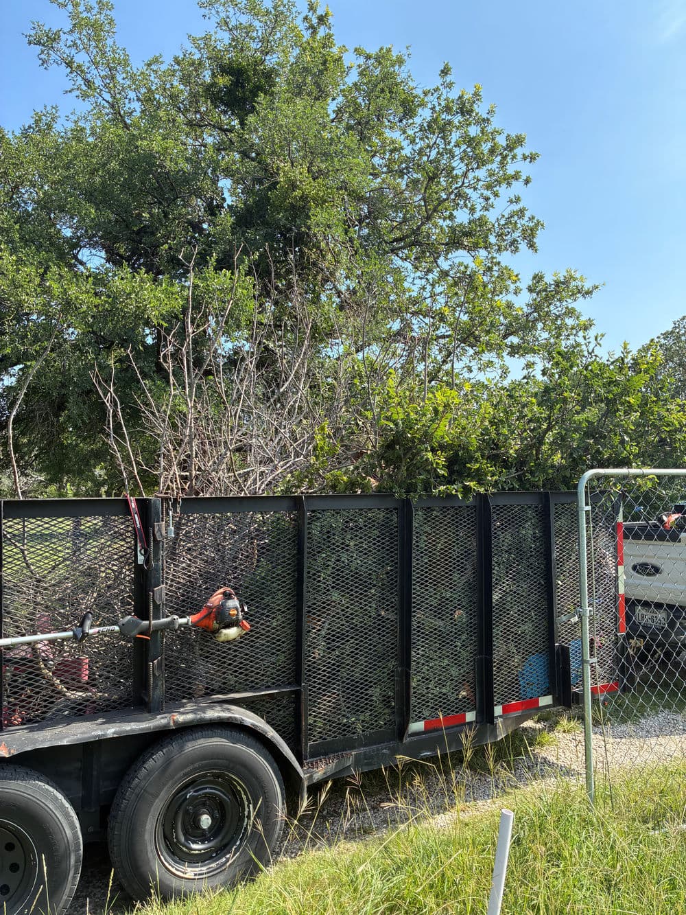 Trailer filled with trimmed branches, surrounded by greenery on a sunny day.