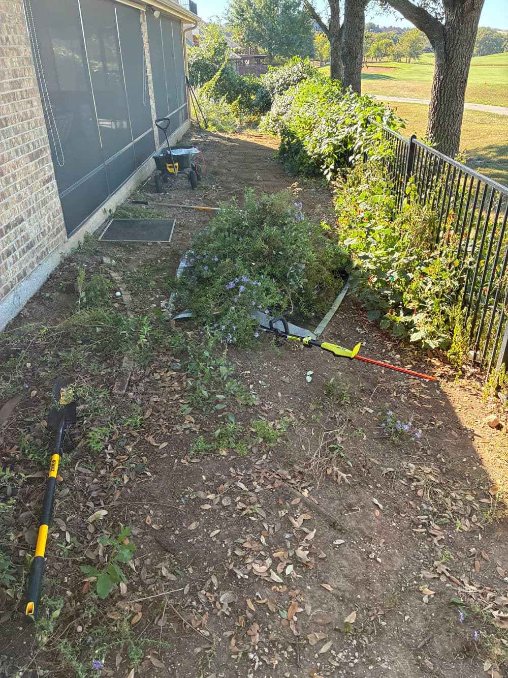 Overgrown garden area with landscaping tools beside a house, featuring weeds and bushes.