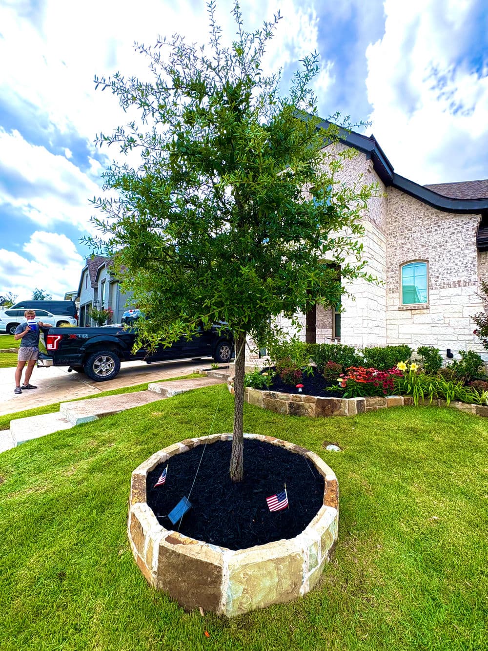 Lush young tree in stone planter, American flags, and well-maintained landscaping outside a home.