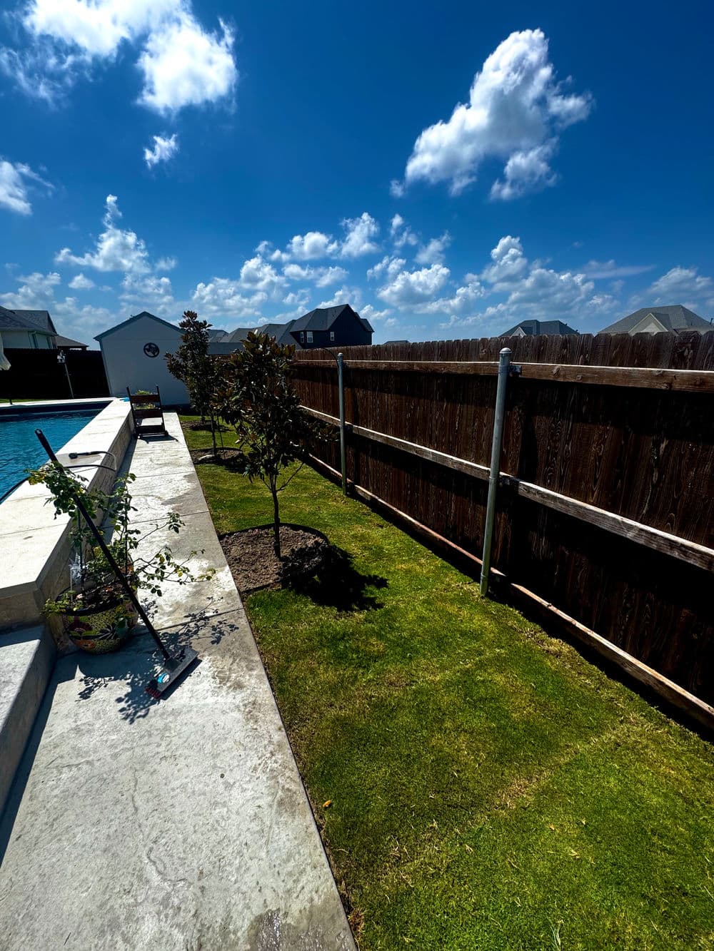 Backyard pool area with trees, green grass, and a wooden fence under a blue sky with clouds.