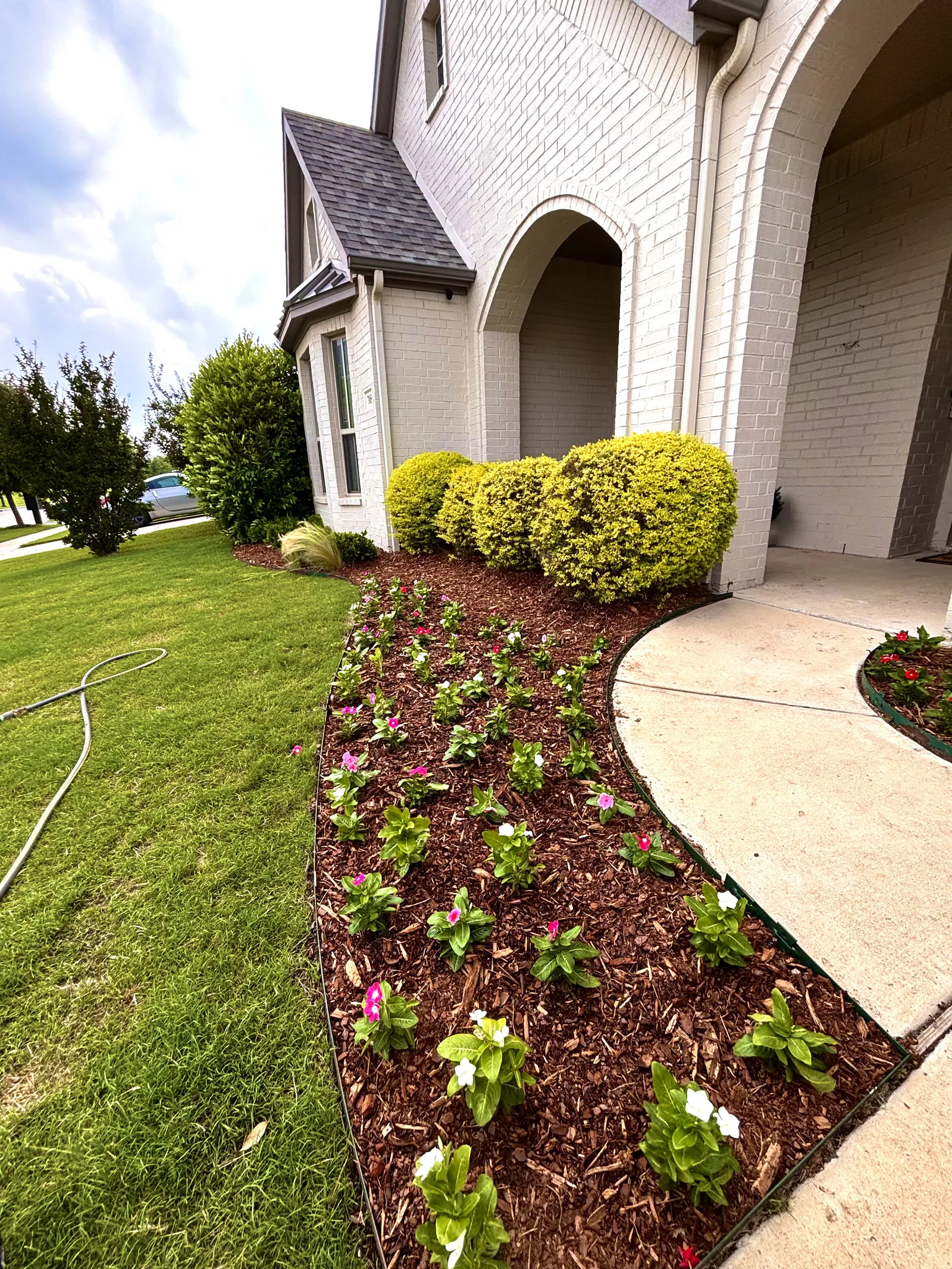 Plant Design & Installation project photo