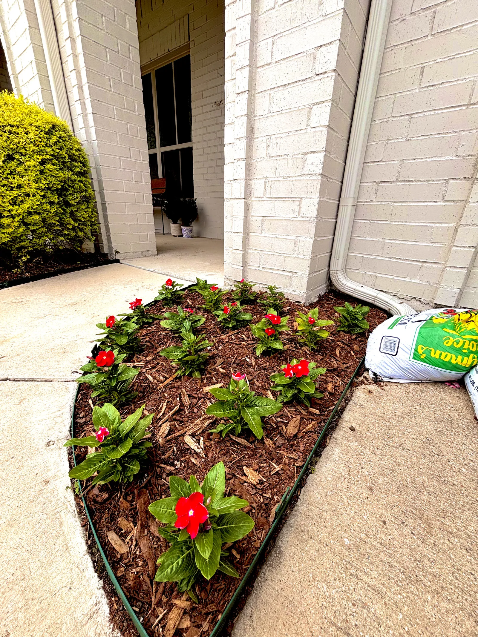 Plant Design & Installation project photo