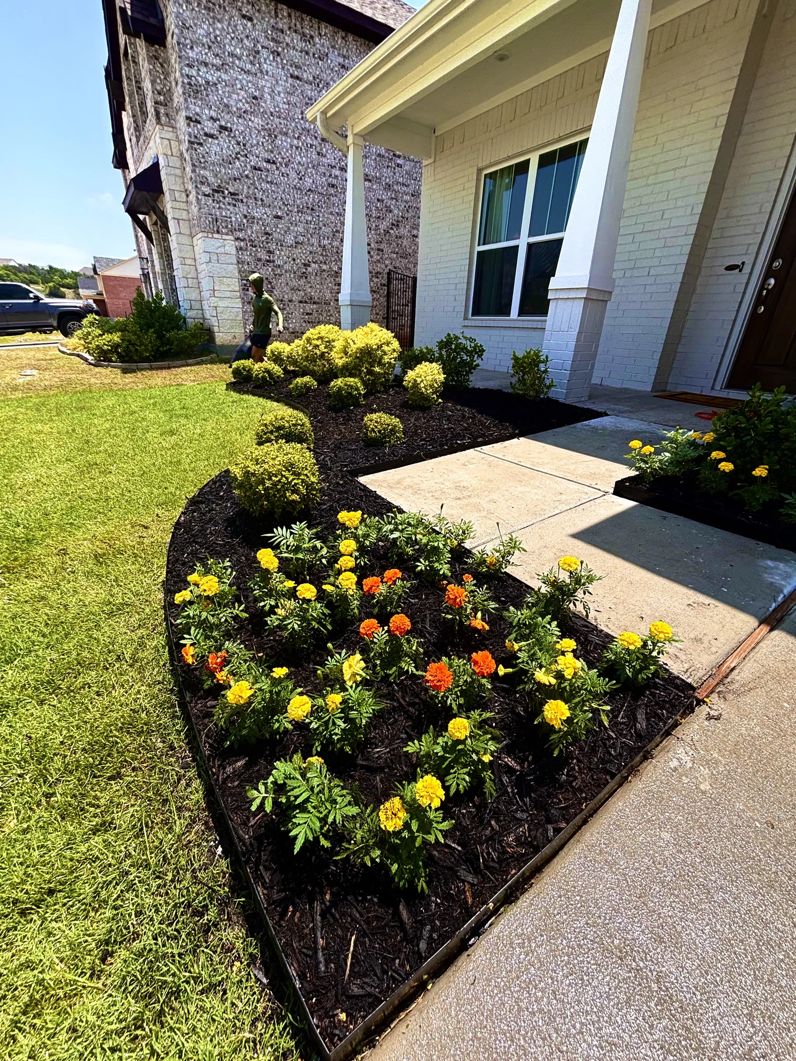 Plant Design & Installation project photo