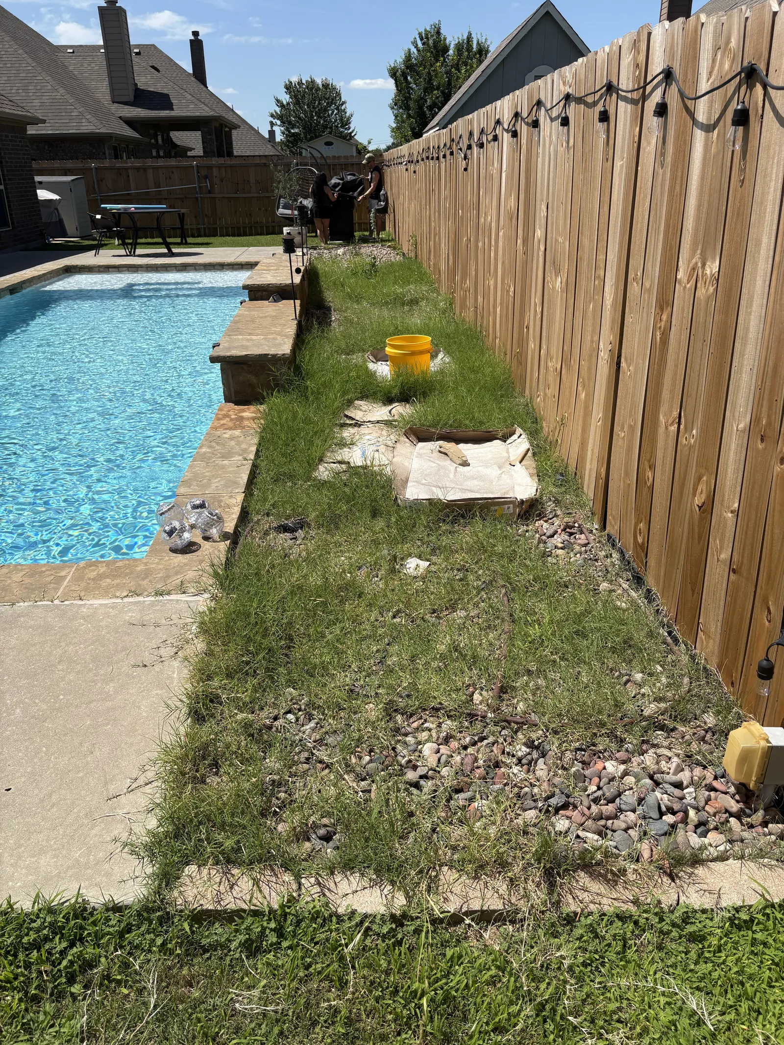 Plant Design & Installation project photo