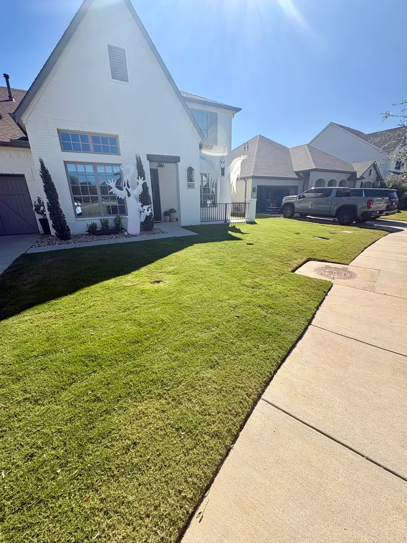 Sod Installation in Aledo, TX