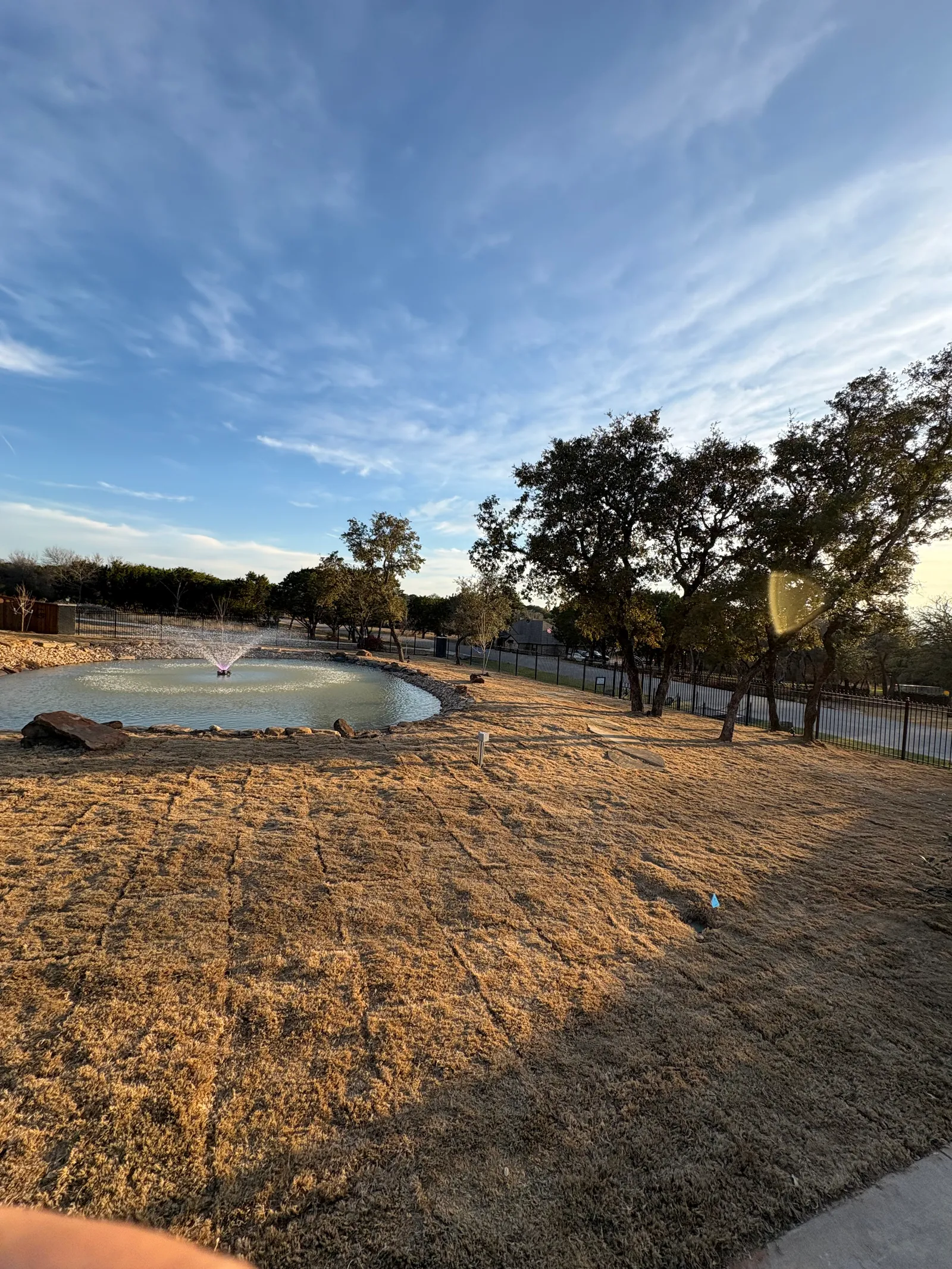 Sod Installation project photo