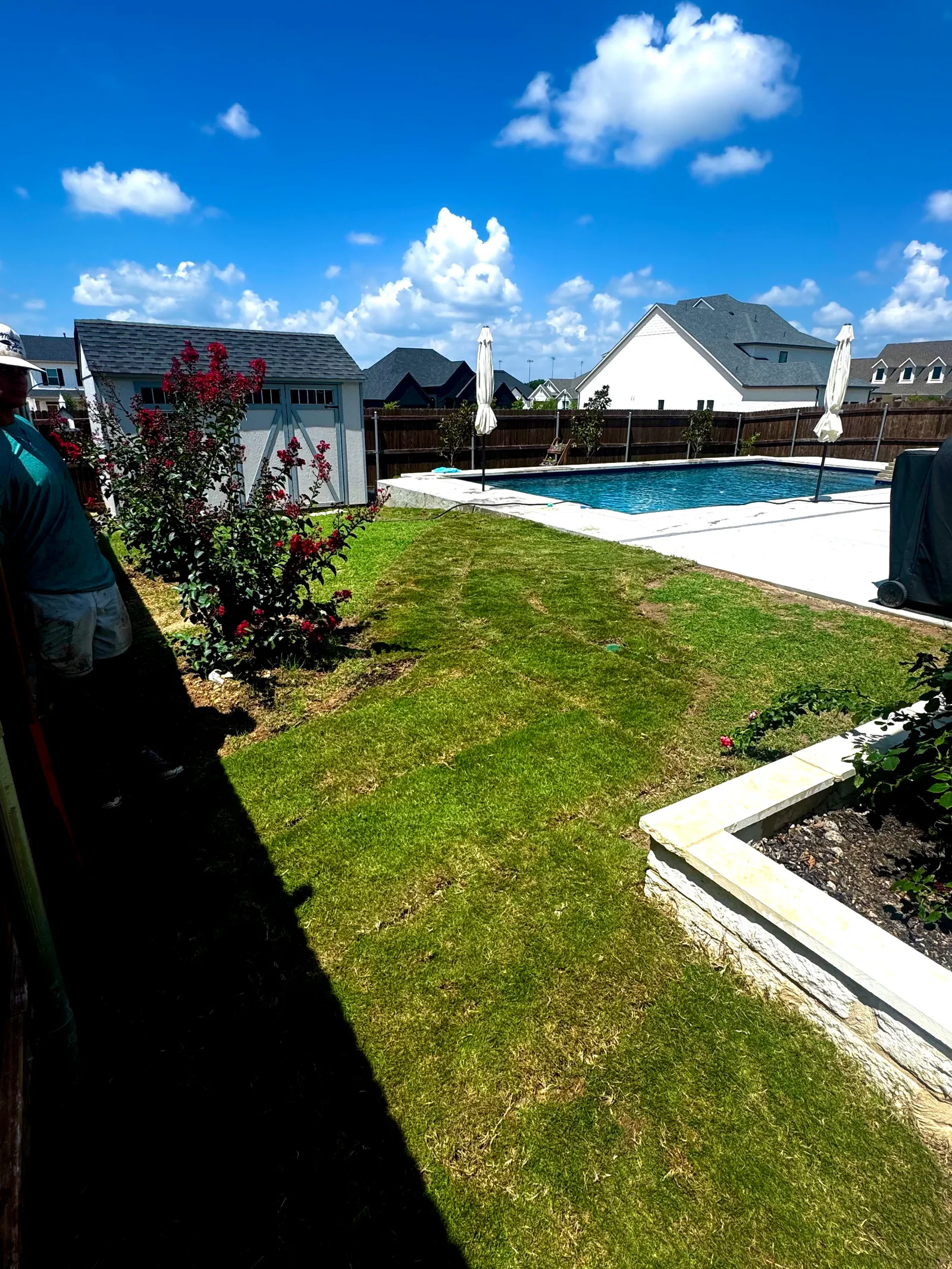 Sod Installation project photo