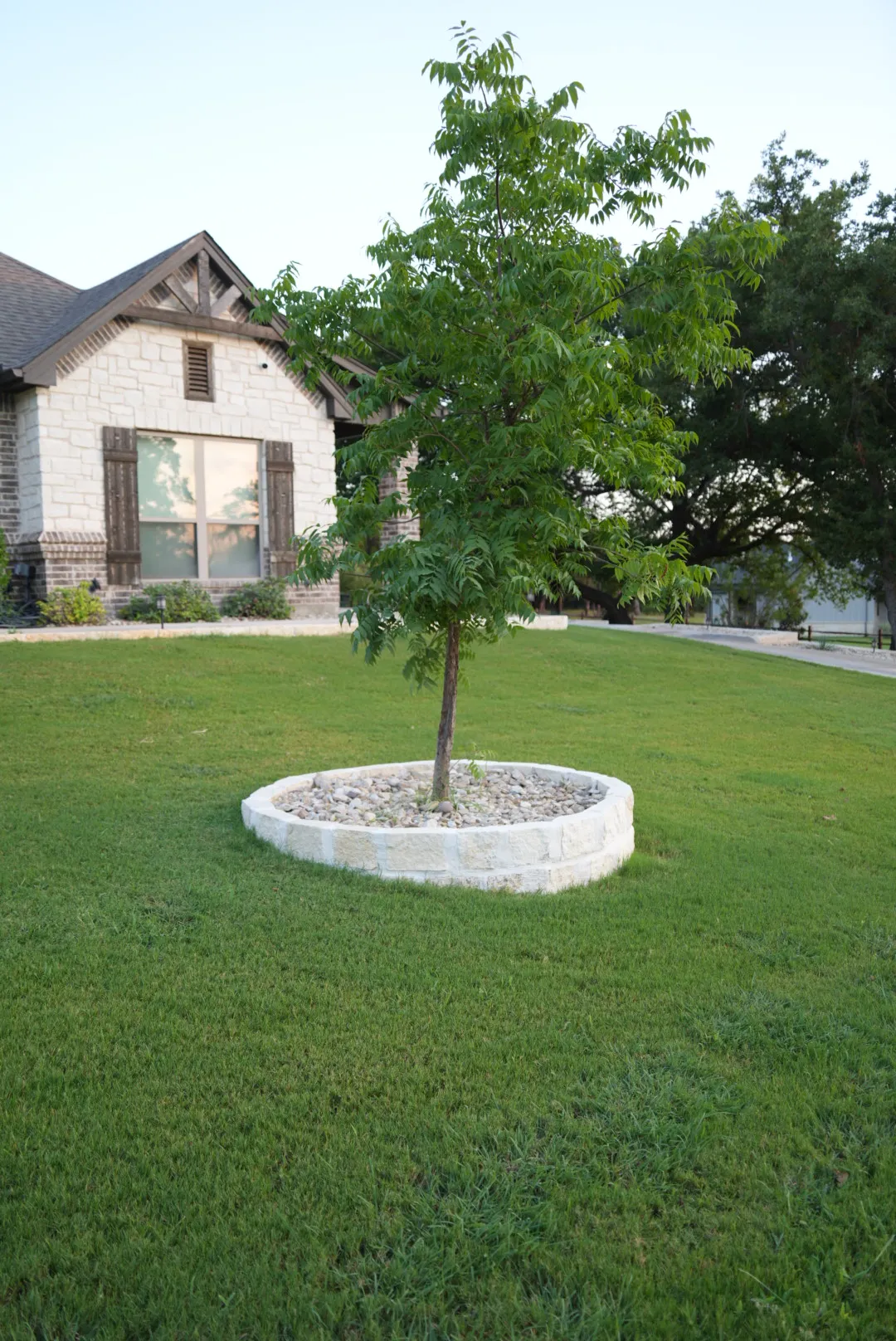 Tree Services project photo