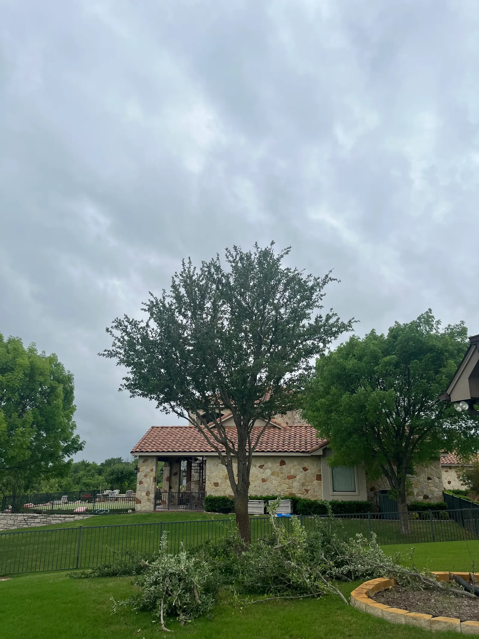 Tree Services project photo